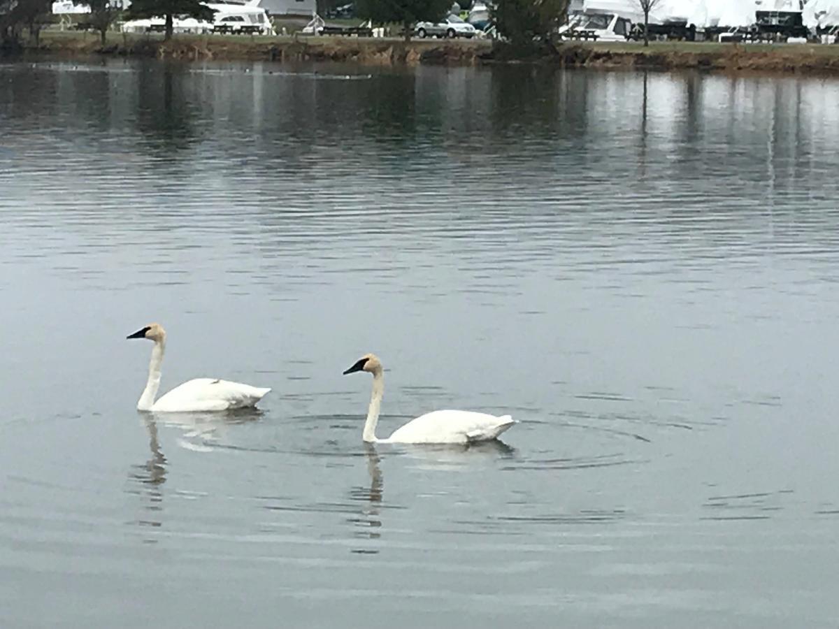 Отель The Floatel Penetanguishene Экстерьер фото